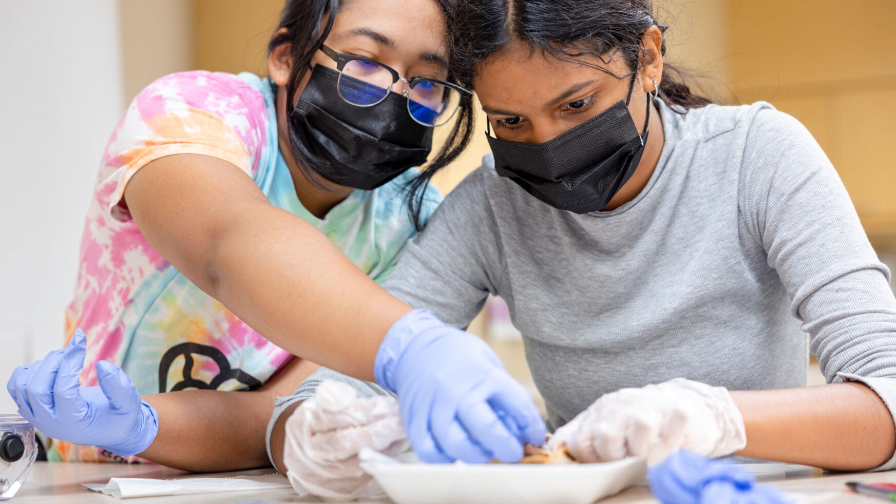 'This is what I want to do.' Upward Bound helps students chart a course for future